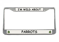 License Plate Frame: Parrot