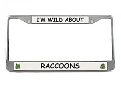 License Plate Frame: Raccoon