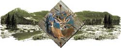 Shirts: Deer