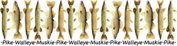 Walleye & Friends Shirts
