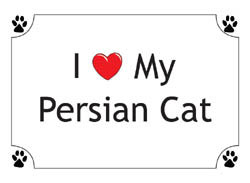 Persian Cat T-Shirts