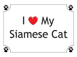 Siamese Cat T-Shirts