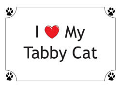 Tabby Cat T-Shirts