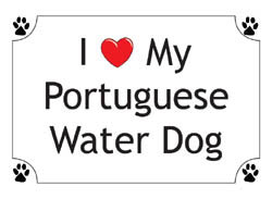 Dog Shirts - Shirts Portuguese Water Dog
