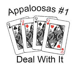 Appaloosa Shirts