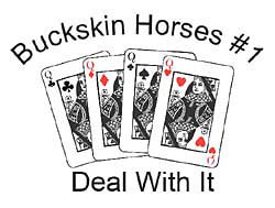 Buckskin Horse Shirts