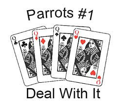 Shirts: Parrot