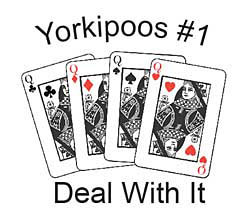 Yorkipoo T-Shirts