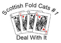 Scottish Fold Cat Shirts