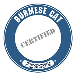 Shirts: Burmese Cat