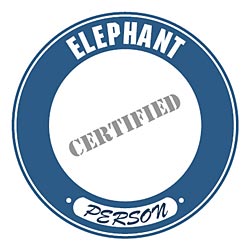 Shirts: Elephant
