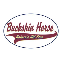 Buckskin Horse Shirts