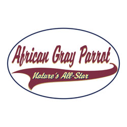 African Gray Parrot T-Shirts