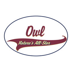 Owl T-Shirts