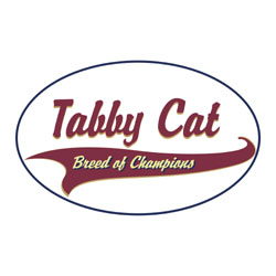 Tabby Cat T-Shirts