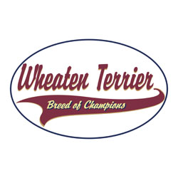 Wheaten Terrier T-Shirts