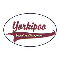 Yorkipoo T-Shirts