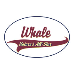 Whale T-Shirts