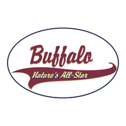 Shirts: Buffalo
