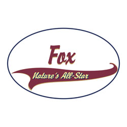Fox Shirts