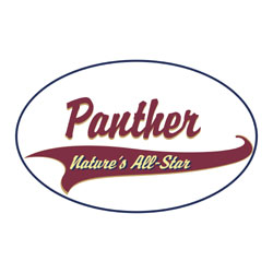 Shirts: Panther