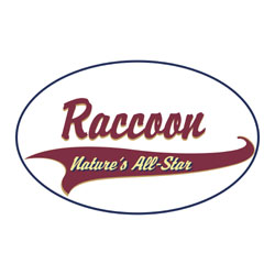 Shirts: Raccoon