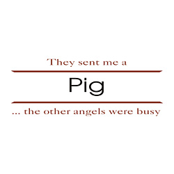Pig Shirts