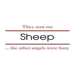 Shirts: Sheep
