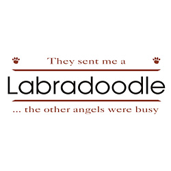 Labradoodle T-Shirts