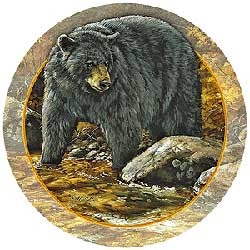 Black Bear Coasters