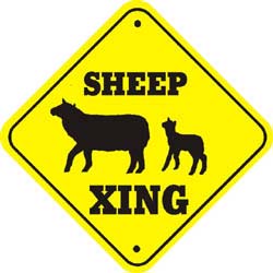 Sign: Sheep