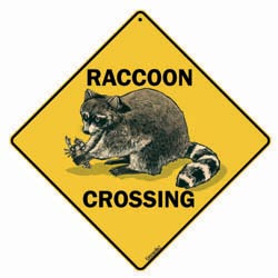 Sign: Raccoon
