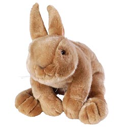 Rabbit Plush Animal