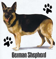 Shirts: German Shepherd