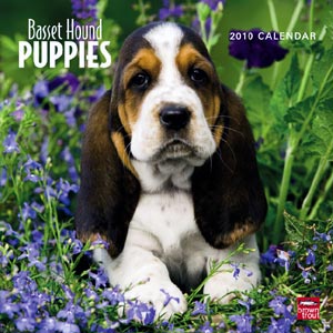 Calendar 2010: Basset Hound Puppies
