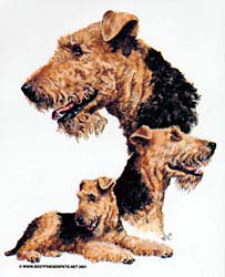 Airedale Terrier T-Shirts