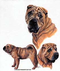 Shar-Pei T-Shirts