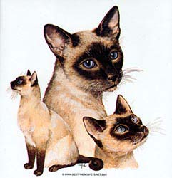 Siamese Cat T-Shirts