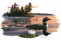 Loon T-Shirts