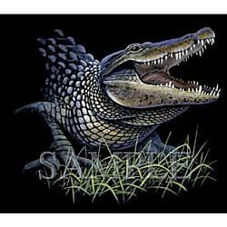 Alligator Shirts