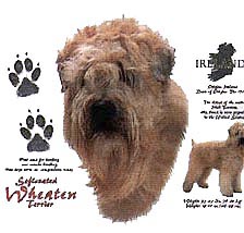 Wheaten Terrier T-Shirts