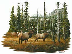Elk T-Shirts