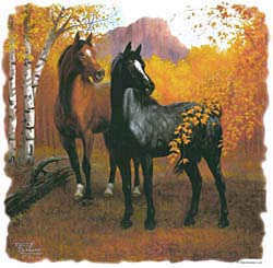 Horse T-Shirts