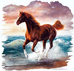 Horse Surfdancer Shirts