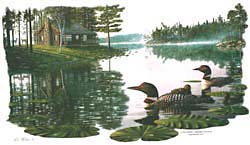 Loon T-Shirts
