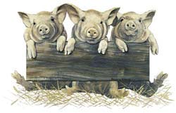 Pigs Shirts
