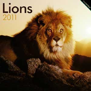"Calendar 2008: Lions"