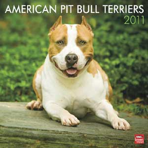 "Calendar 2008: American Pit Bull Terriers"