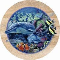 Dolphin Coasters