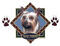 Silky Terrier T-Shirts
